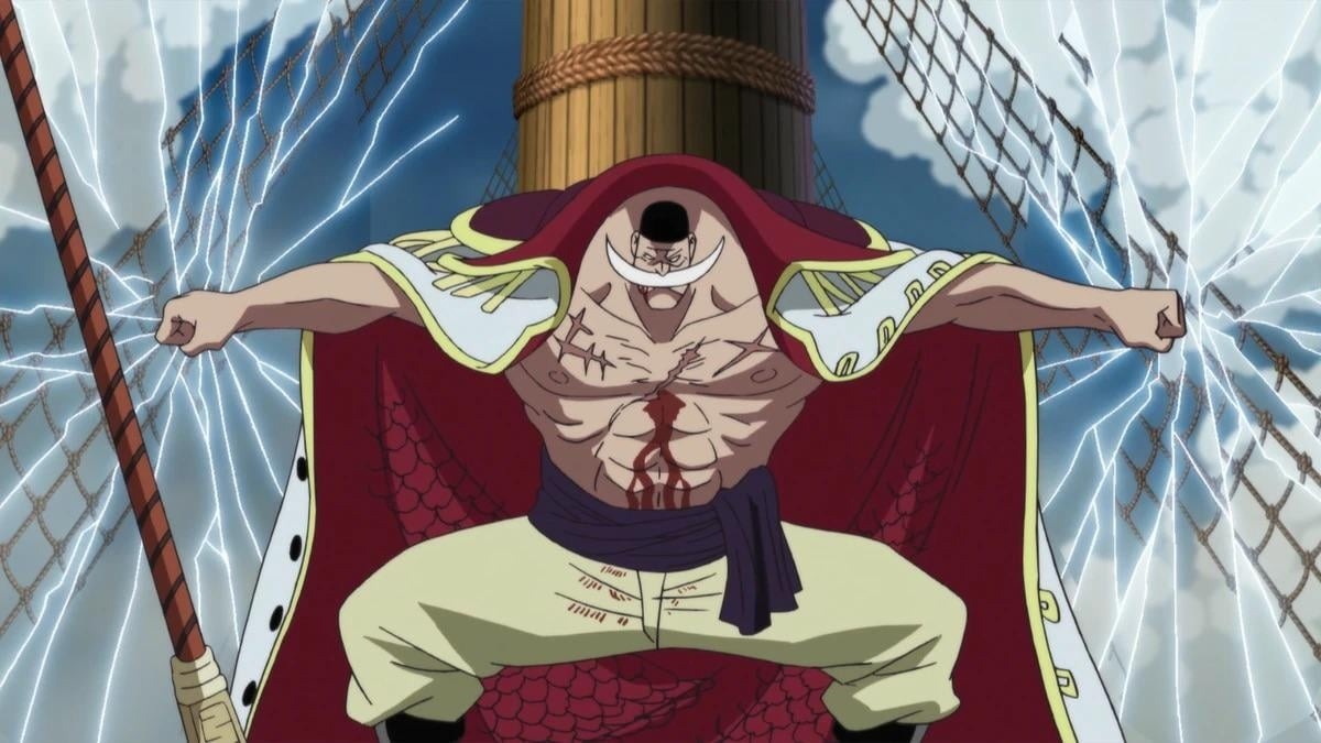 tong-hop-he-trai-ac-quy-trong-one-piece-2