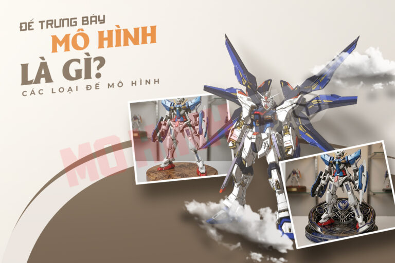 Đế trưng bày mô hình là gì? Các loại đế trưng bày mô hình
